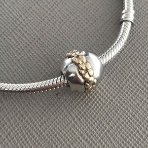 Pandora retired Saturn Flower Charm